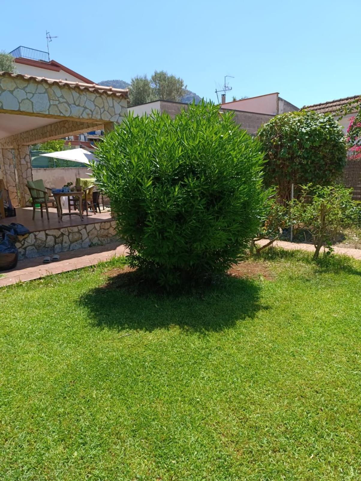 Casa In Giardino A Pochi Passi Dal Mare Villa Palermo Eksteriør bilde